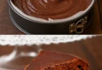 Moelleux au chocolat express et léger, un dessert savoureux et facile à préparer.